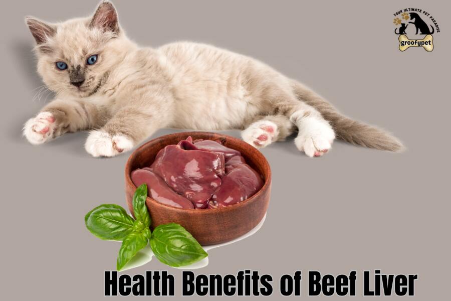 Can Cats Eat Raw Beef Liver? health benefits of beef liver
