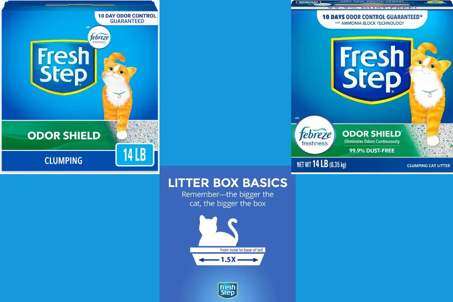 How to Get Rid of Ammonia Smell in Litter Box?