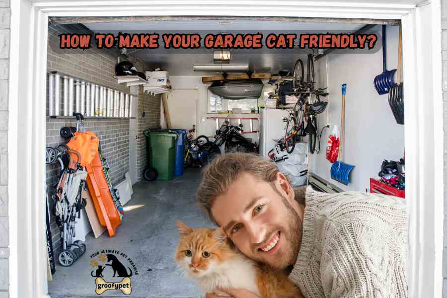 how to make your garage cat friendly