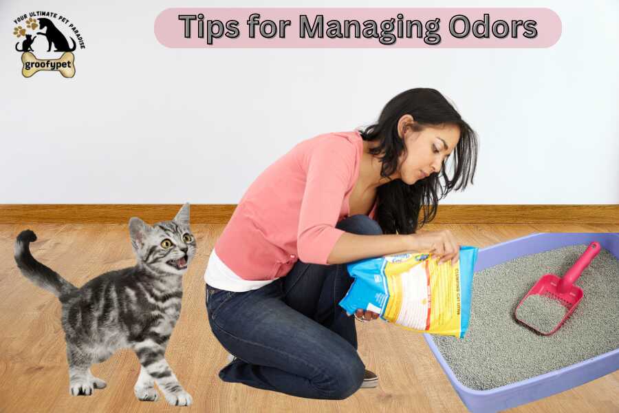 How to Get Rid of Ammonia Smell in Litter Box? Tips for Managing Odors