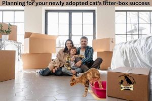 planning for your newly adopted cat's litter-box success