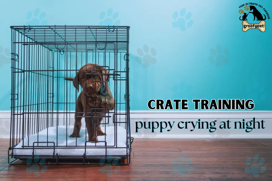 crate training puppy crying at night