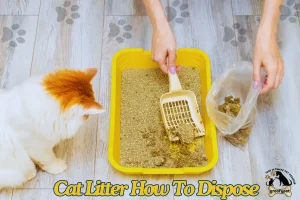 Cat Litter How To Dispose