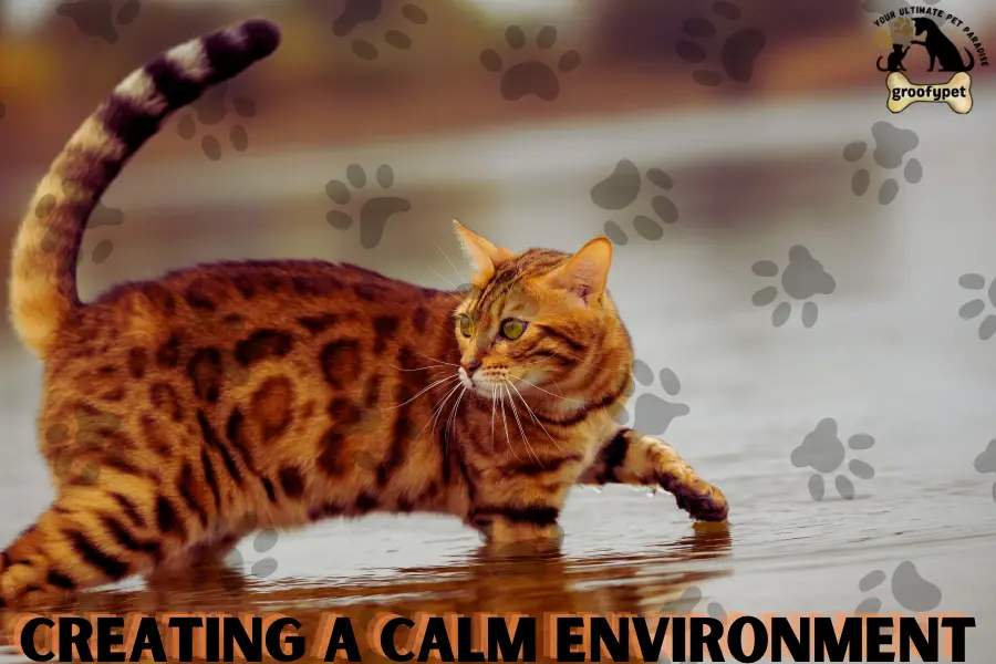 how to stop my bengal cat from peeing