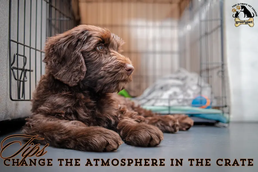 Puppy Crying During Crate Training