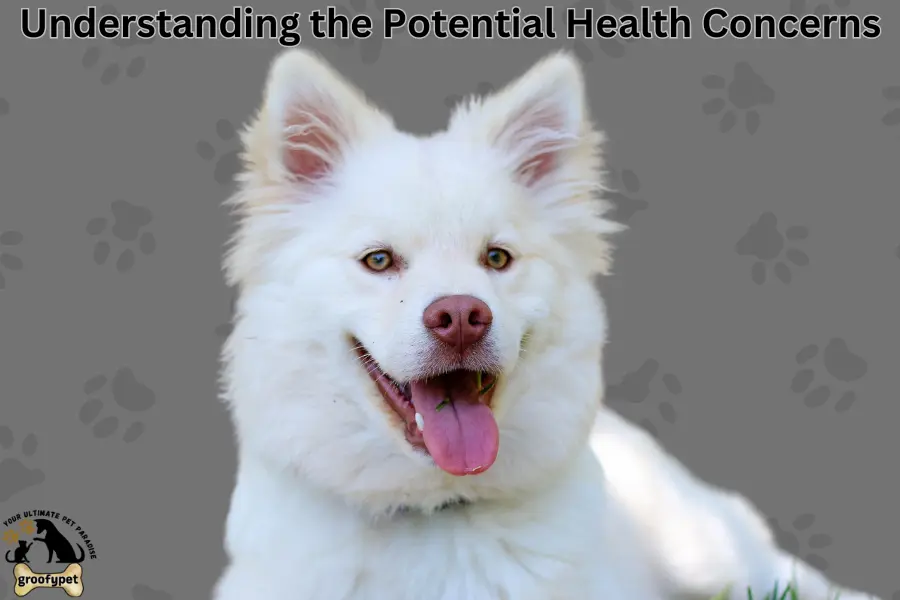 Why Does My Dog Like Butt Scratches? Understanding the Potential Health Concerns