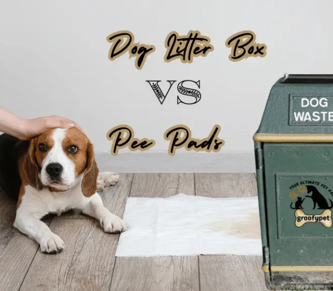 Dog Litter Box Vs Pee Pads: Smarter Solution for Your Dog!