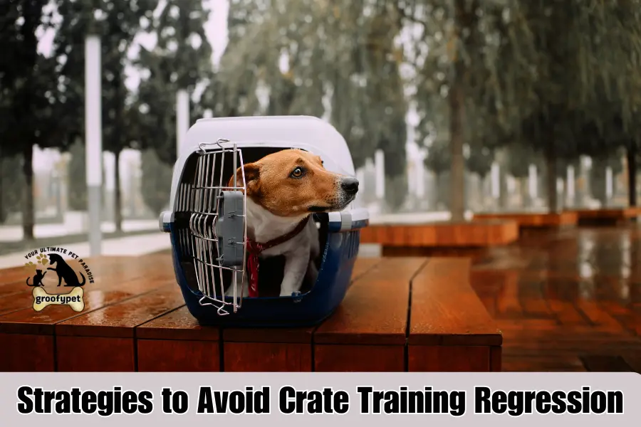 crate training regression