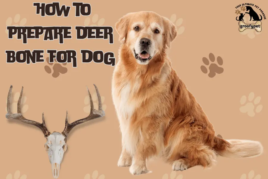 how to prepare deer bone for dog?