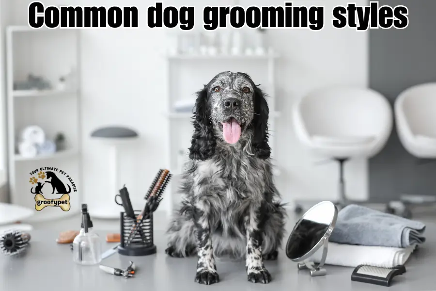 dog grooming terms