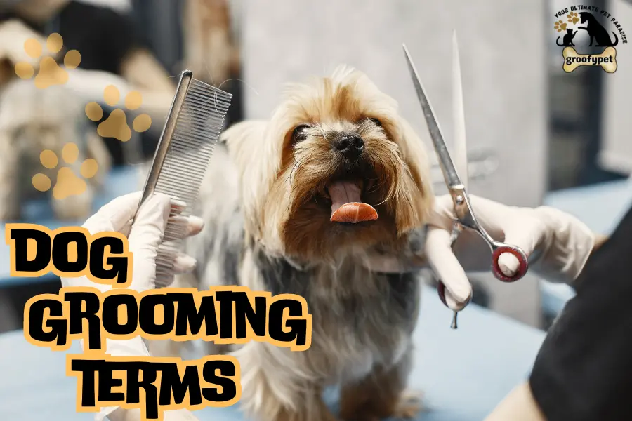 dog grooming terms