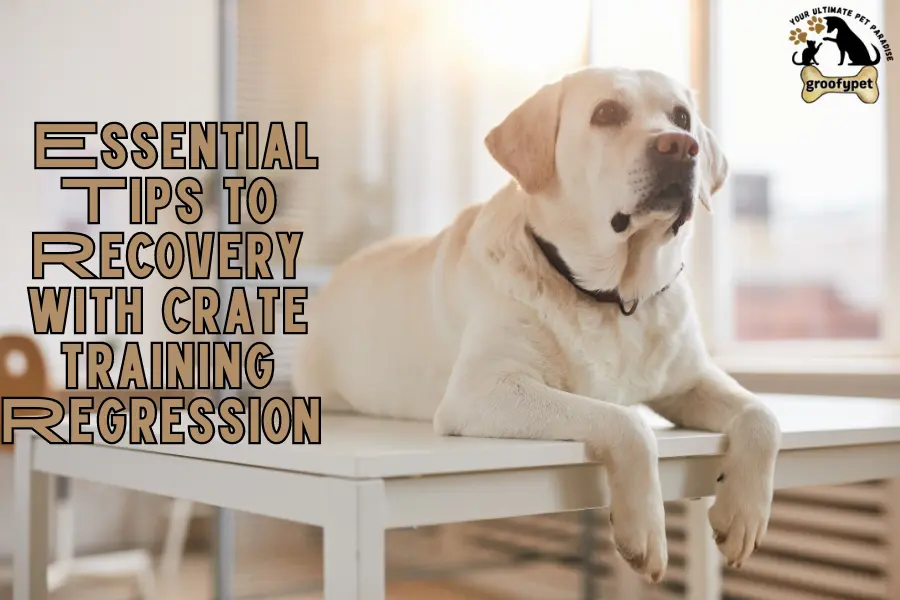 crate training regression
