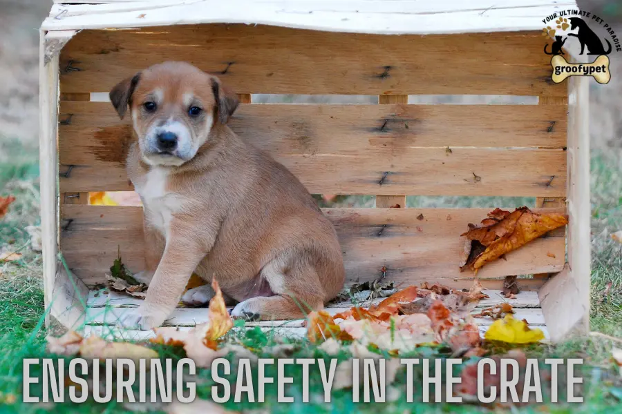 What to put inside a puppy crate