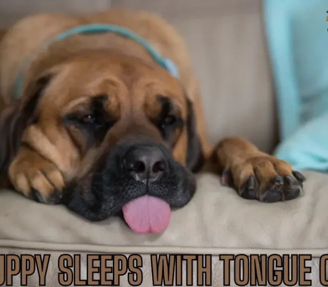 Puppy Sleeps with Tongue Out: The Adorable Secret You Need to Know!