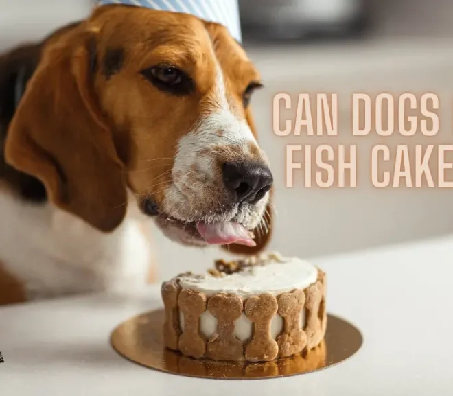 Can Dogs Eat Fish Cakes? Healthy Treat Ideas for Dogs!