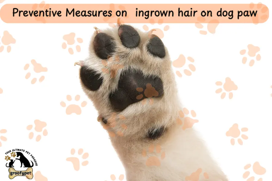 how to treat ingrown hair on dog paw