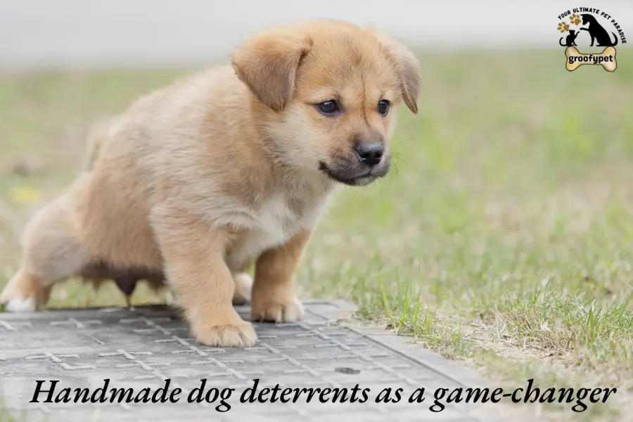smells dogs hate to pee on