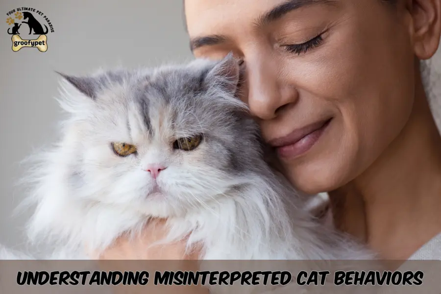 Does my cat love me?