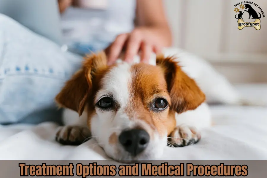 My Dog Ate a Chicken Bone