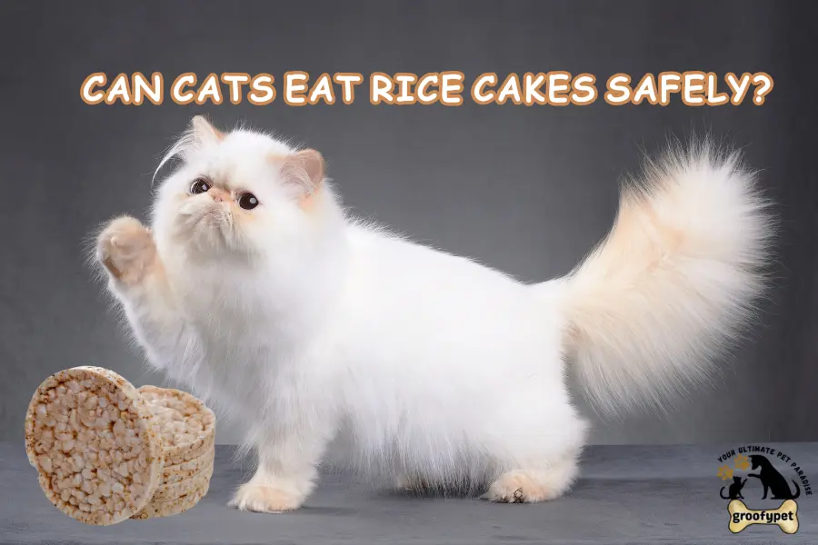 Can cats eat rice cakes safely?