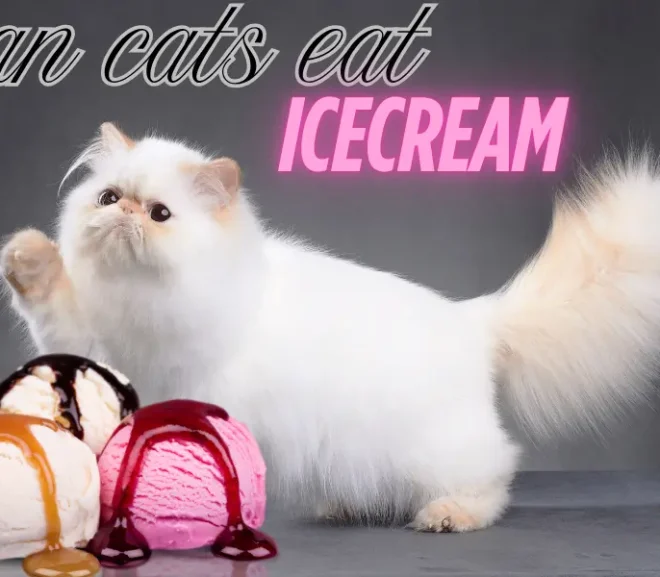 Can Cats Eat Ice Cream? The Risky Scoop Behind the Sweetness!