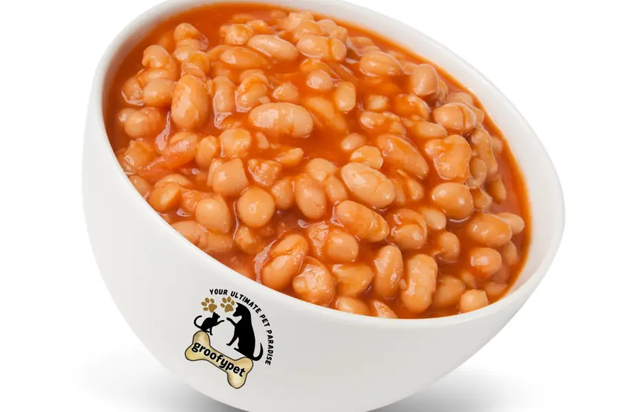 Can cats eat beans