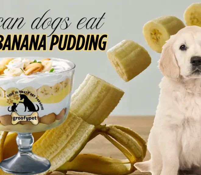 Can Dogs Eat Banana Pudding?10 Facts Every Pet Parent Should Know!