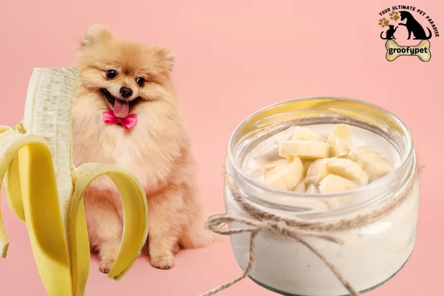 can dogs eat banana pudding