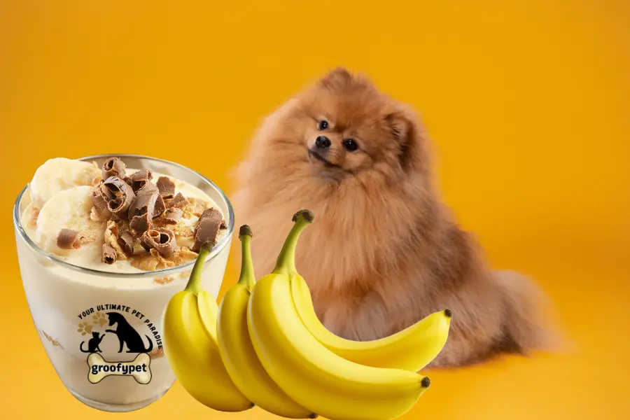 can dogs eat banana pudding
