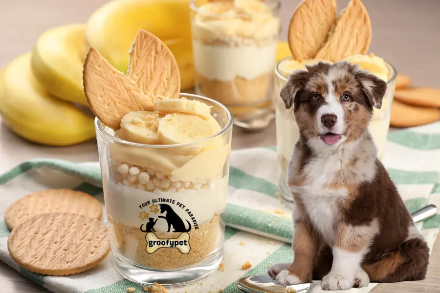 can dogs eat banana pudding