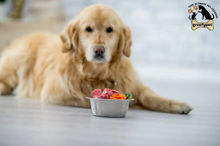 Why does my dog spit out his food