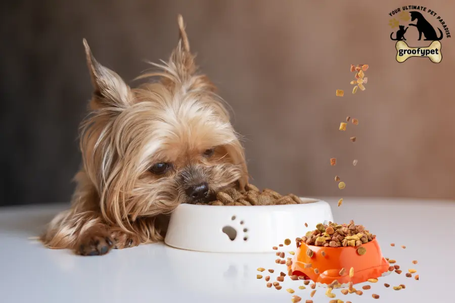 Why does my dog spit out his food