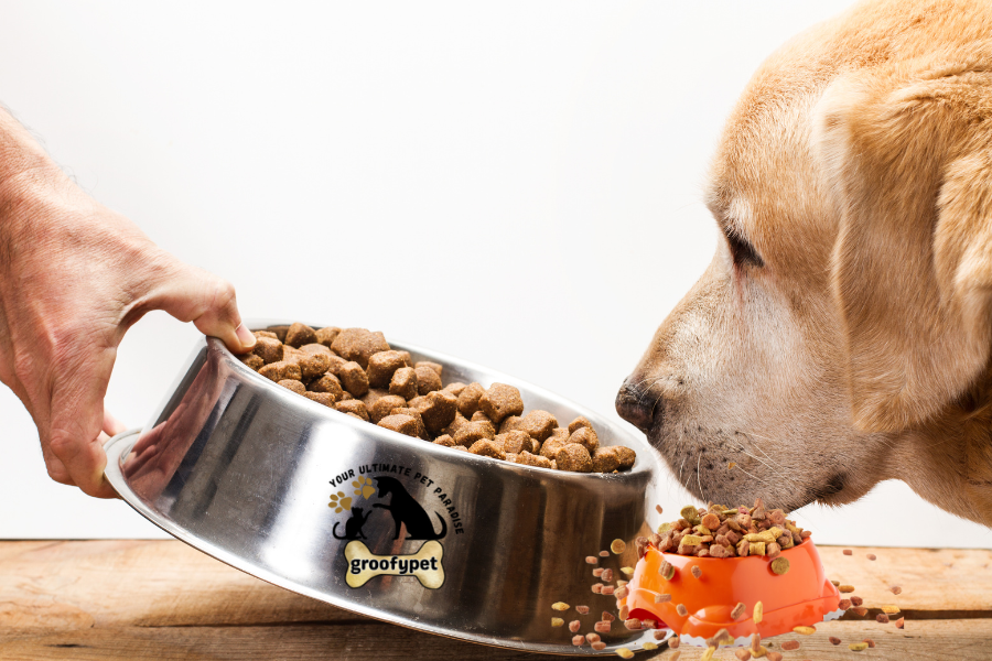 Why does my dog spit out his food