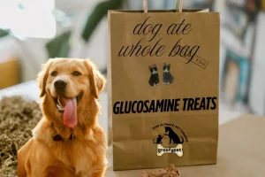 dog ate whole bag of glucosamine treats