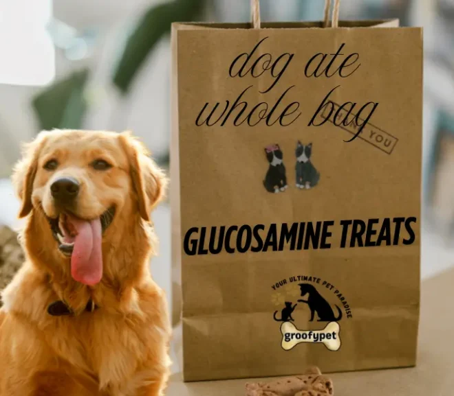 Dog Ate Whole Bag of Glucosamine Treats? Act Fast– Critical Warning!