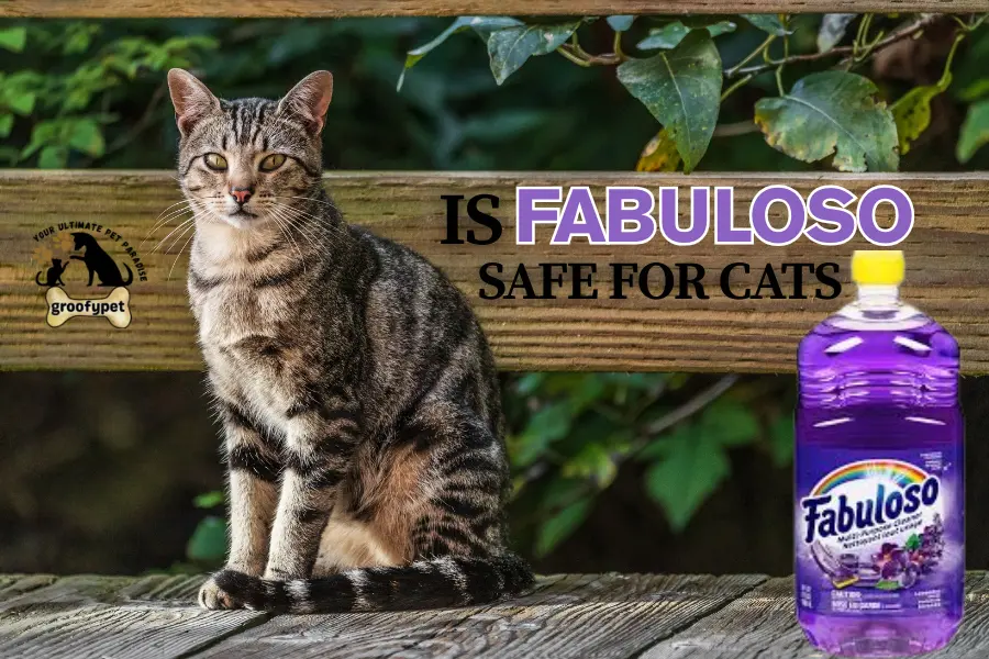is fabuloso safe for cats