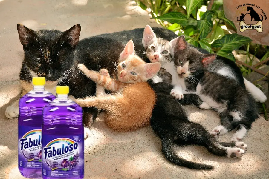 is fabuloso safe for cats