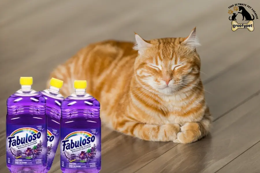 is fabuloso safe for cats