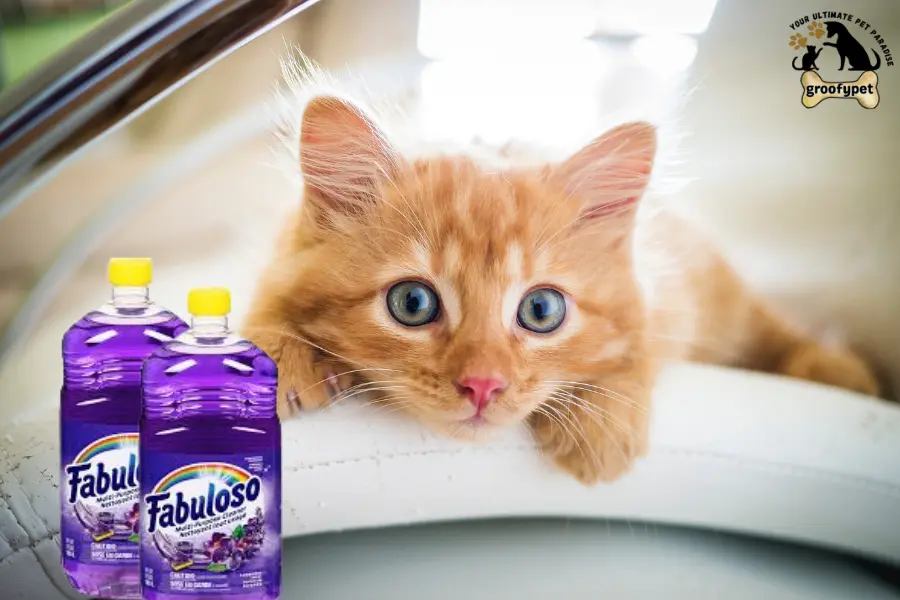 is fabuloso safe for cats
