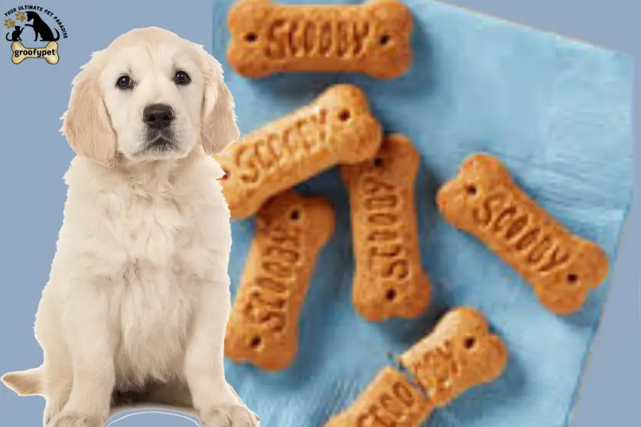 Can Dogs Eat Scooby Snacks