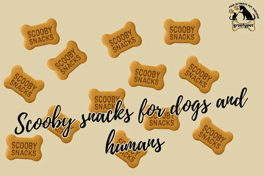 Scooby snacks for dogs and humans