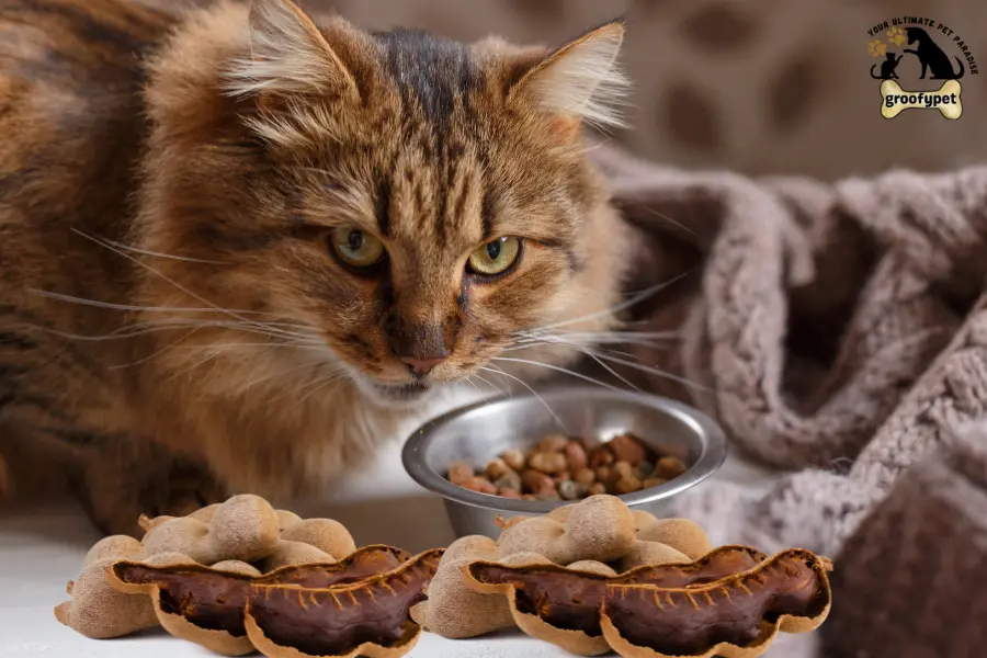 Can cats eat tamarind