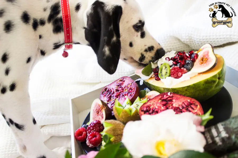 can dogs eat fruit snacks