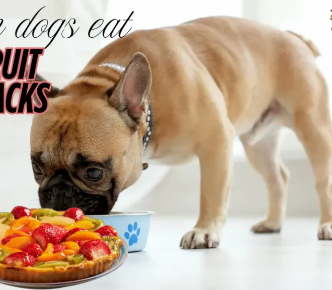 Can Dogs Eat Fruit Snacks? Protect Your Pup with Right Treats