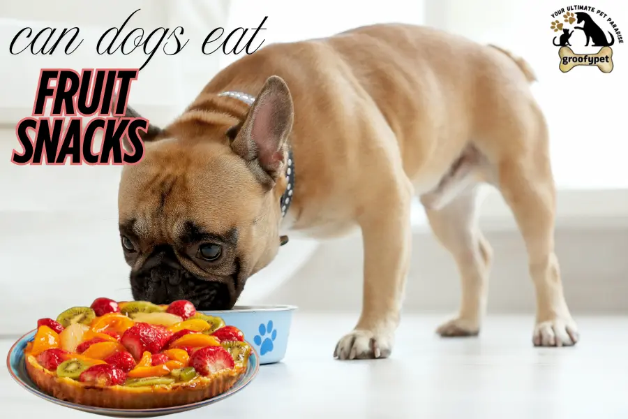 can dogs eat fruit snacks