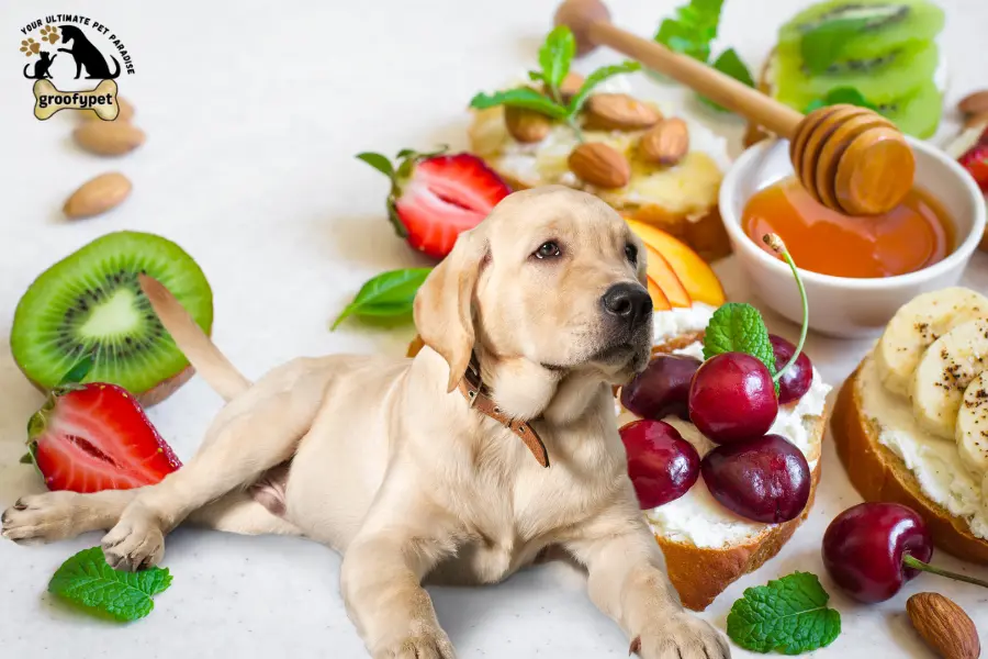 can dogs eat fruit snacks