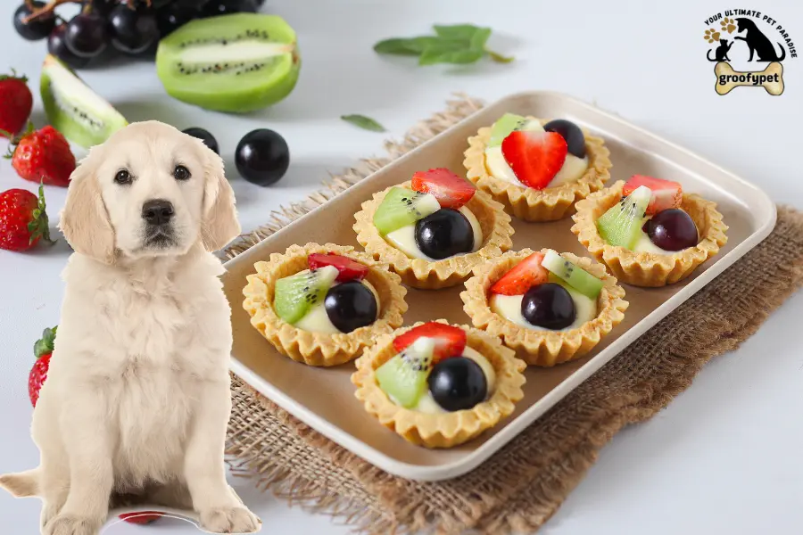 can dogs eat fruit snacks