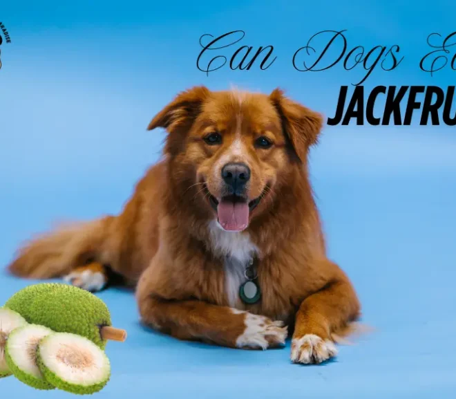 Can Dogs Eat Jackfruit? Keep Your Pup Safe and Happy!