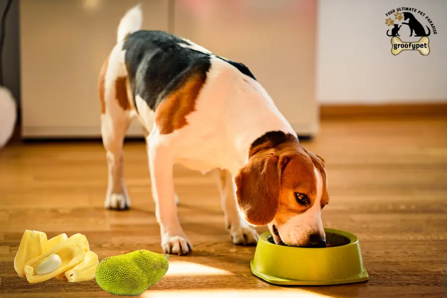 Can Dogs Eat Jackfruit
