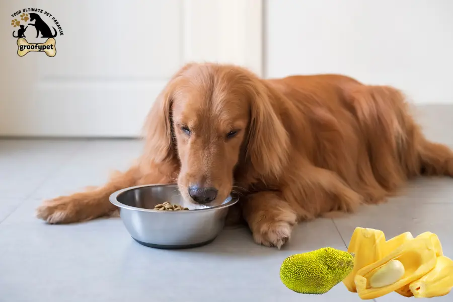 Can Dogs Eat Jackfruit
